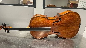 Zaplenjena dva violončela